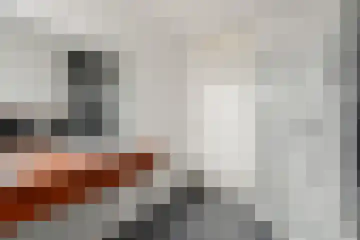 Vuurvlinderberm 18 Houten thumbnail 32