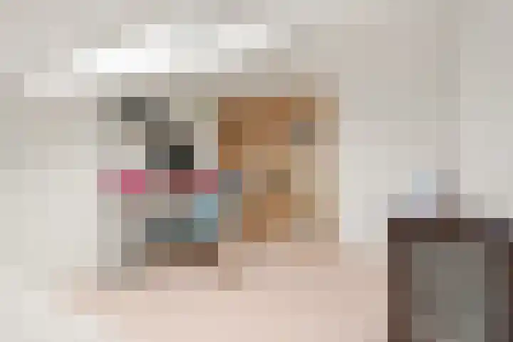 Vuurvlinderberm 18 Houten thumbnail 38