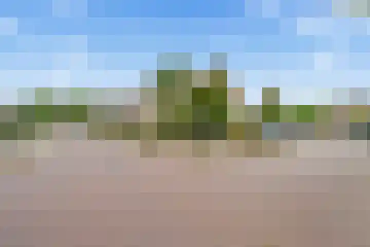 Vuurvlinderberm 18 Houten thumbnail 39