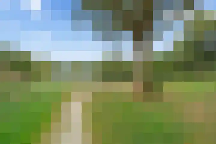 Vuurvlinderberm 18 Houten thumbnail 40