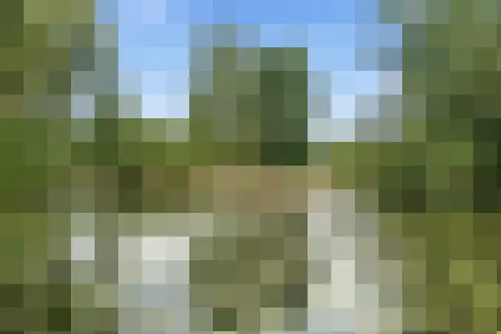 Vuurvlinderberm 18 Houten thumbnail 41