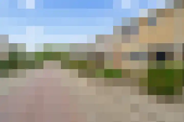 Vuurvlinderberm 18 Houten thumbnail 43