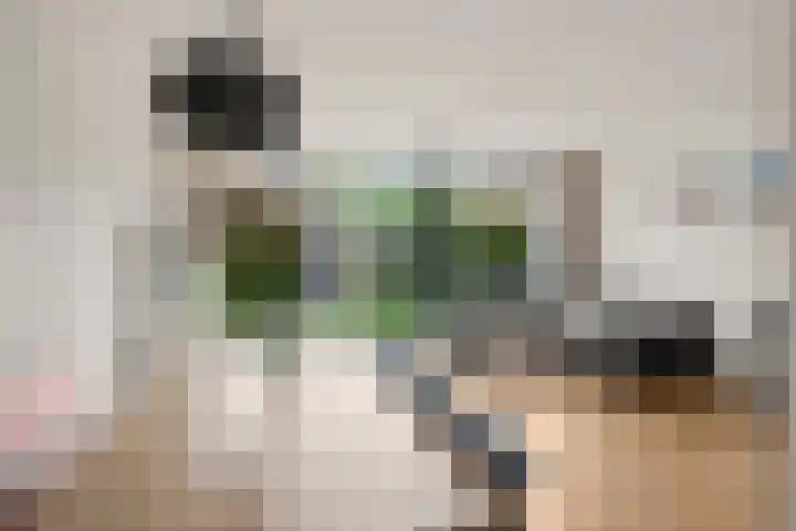 Vuurvlinderberm 18 Houten thumbnail 7