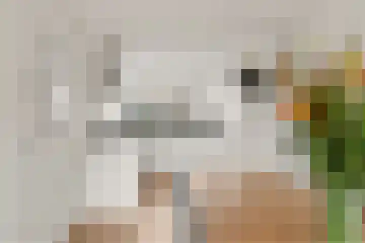 Vuurvlinderberm 18 Houten thumbnail 9
