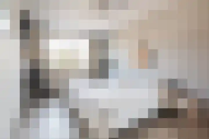 Vuurvlinderberm 5 Houten thumbnail 14