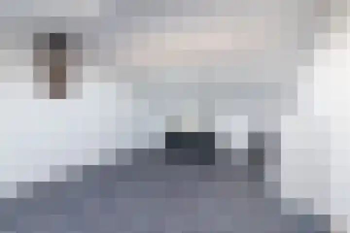 Vuurvlinderberm 5 Houten thumbnail 23