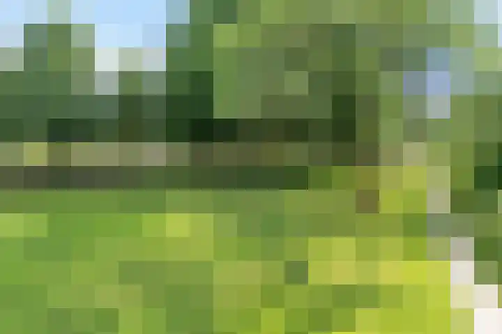 Vuurvlinderberm 5 Houten thumbnail 30