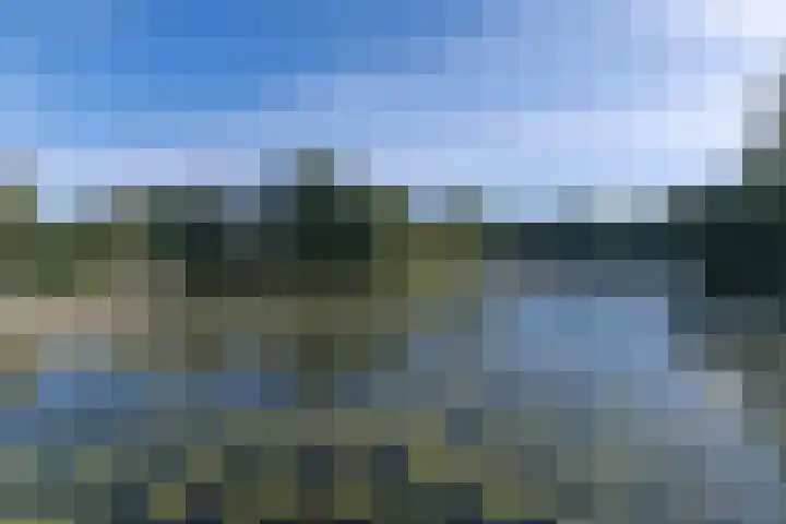 Vuurvlinderberm 5 Houten thumbnail 31