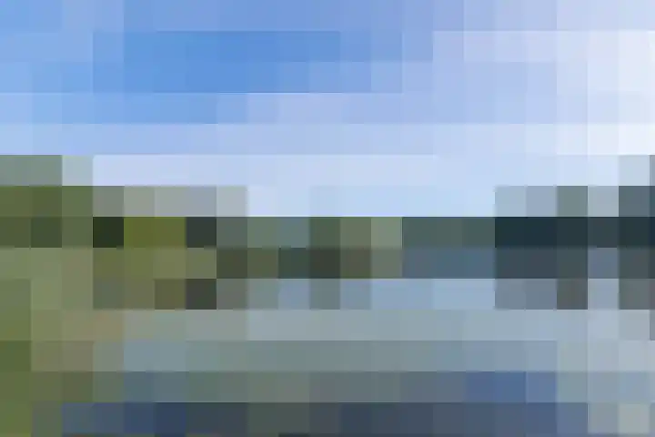 Vuurvlinderberm 5 Houten thumbnail 32