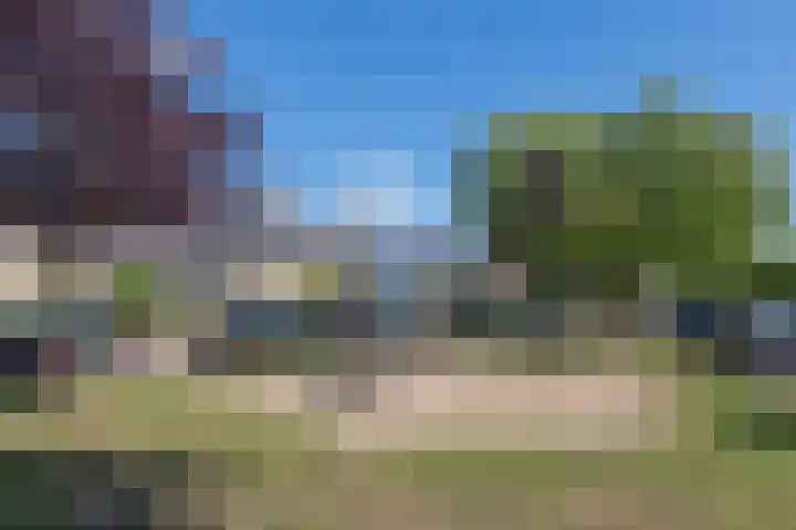 Vuurvlinderberm 5 Houten thumbnail 35
