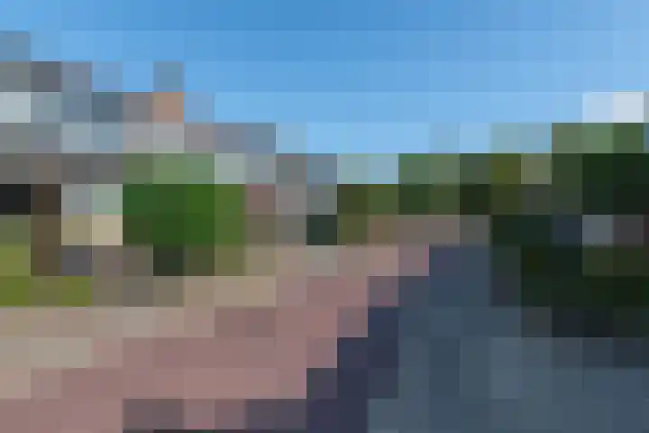 Vuurvlinderberm 5 Houten thumbnail 36