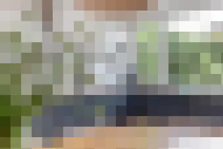 Vuurvlinderberm 8 Houten thumbnail 10