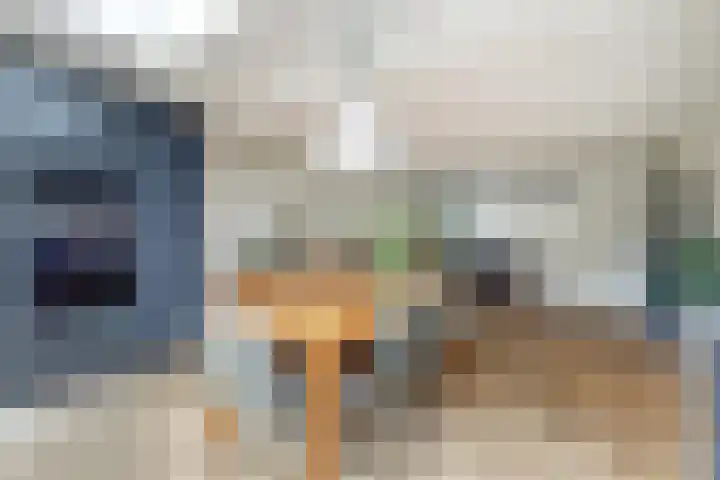 Vuurvlinderberm 8 Houten thumbnail 14