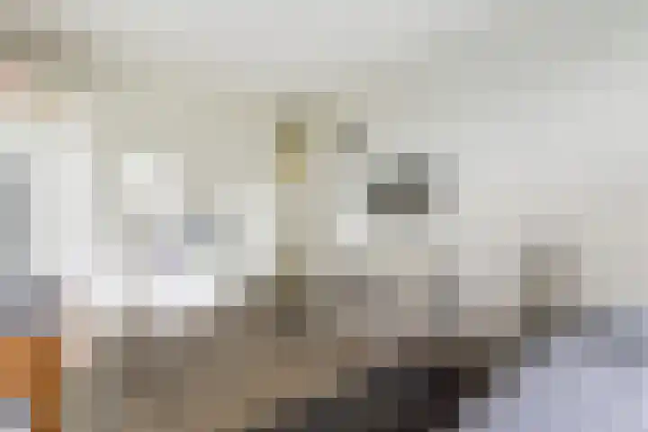Vuurvlinderberm 8 Houten thumbnail 19