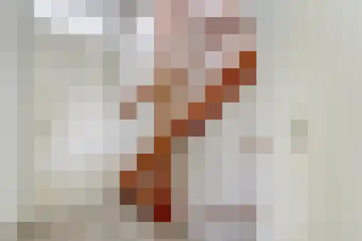 Vuurvlinderberm 8 Houten thumbnail 25