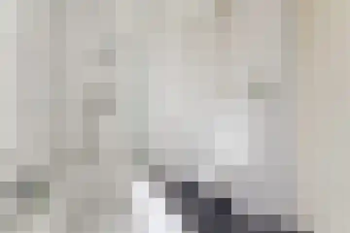 Vuurvlinderberm 8 Houten thumbnail 28