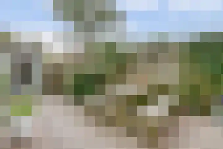 Vuurvlinderberm 8 Houten thumbnail 31