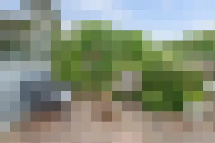 Vuurvlinderberm 8 Houten thumbnail 33