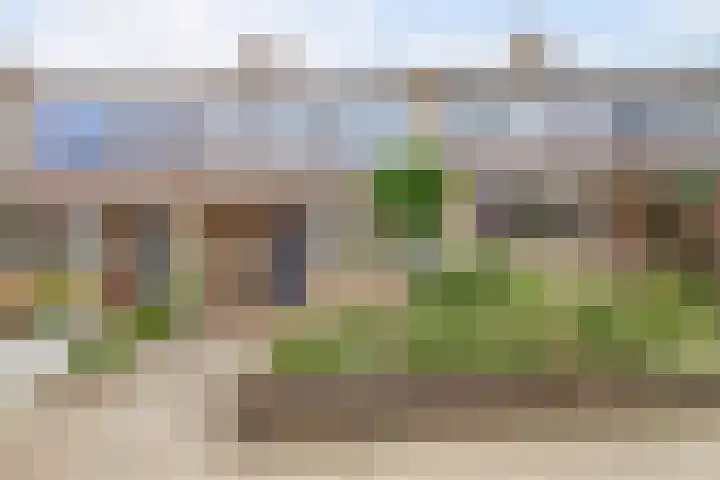 Vuurvlinderberm 8 Houten thumbnail 34