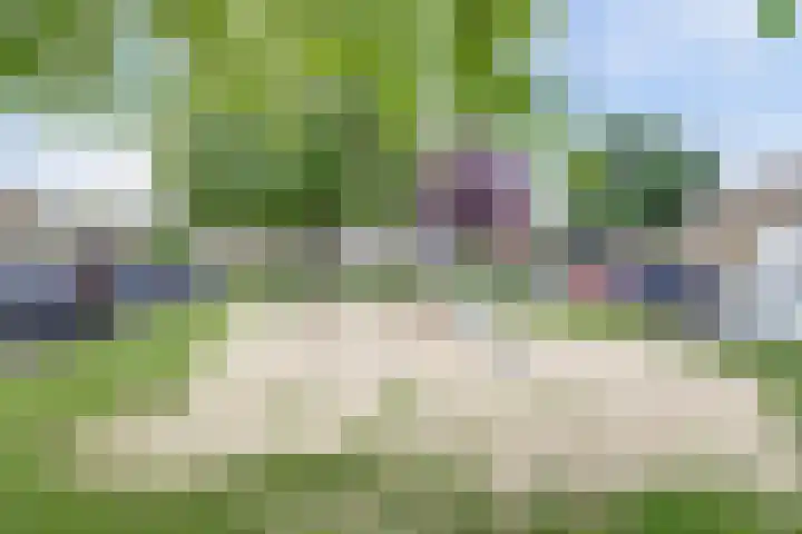 Vuurvlinderberm 8 Houten thumbnail 36