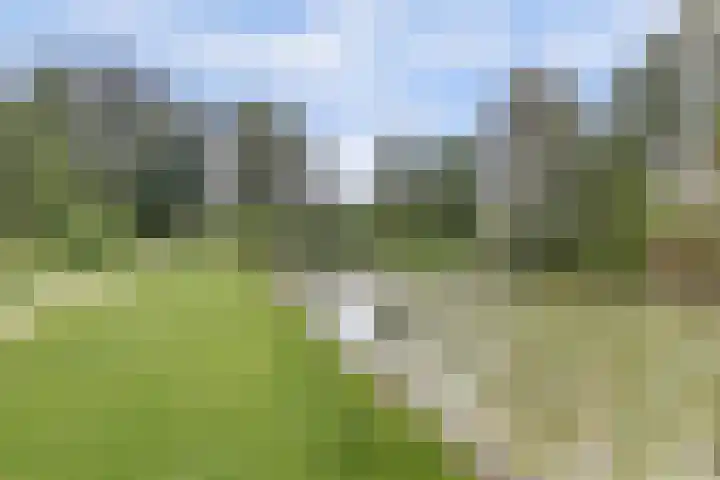 Vuurvlinderberm 8 Houten thumbnail 37