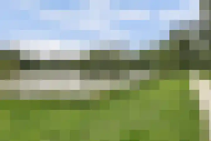 Vuurvlinderberm 8 Houten thumbnail 38