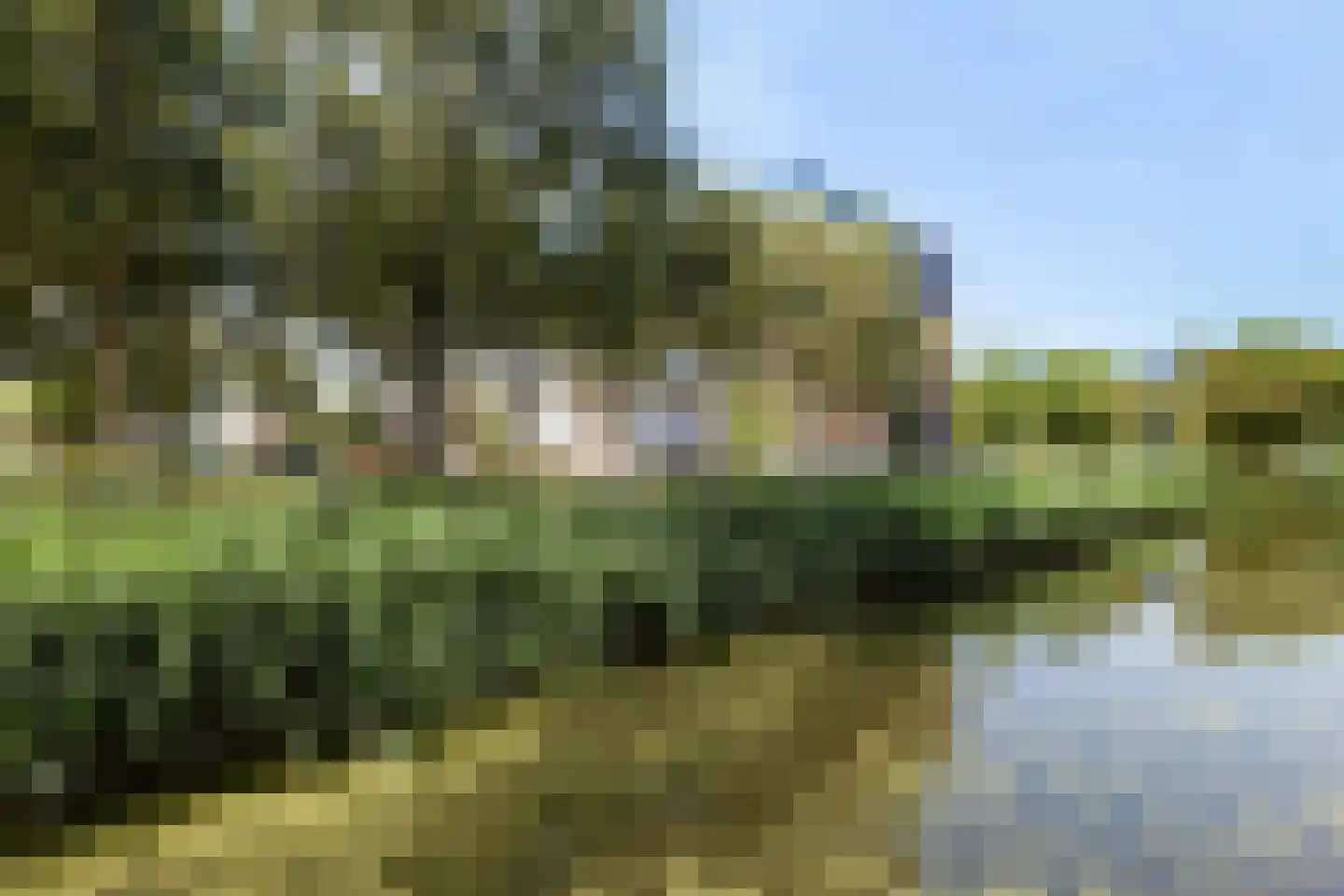 Vuurvlinderhof 13 Schiedam thumbnail 21