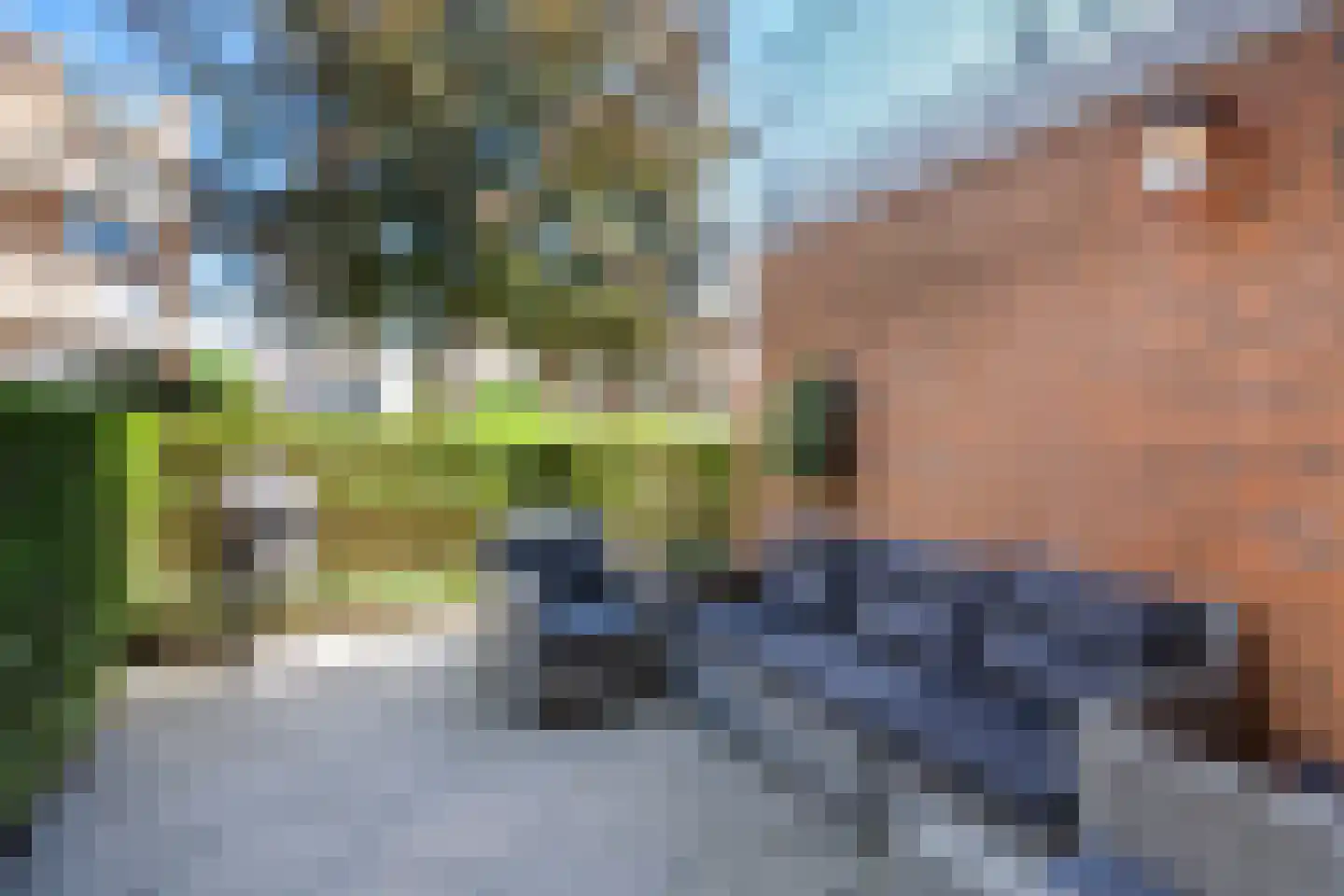 Vuurvlinderhof 13 Schiedam thumbnail 4
