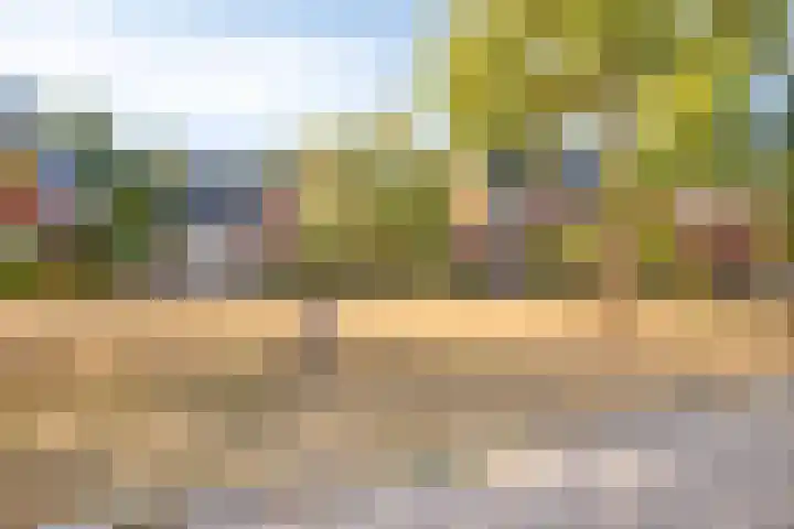 Vuurvlinderhof 16 Oosterhout thumbnail 31