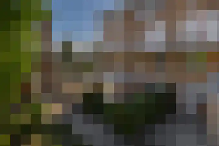 Vuurvlinderhof 20 Schiedam thumbnail 30