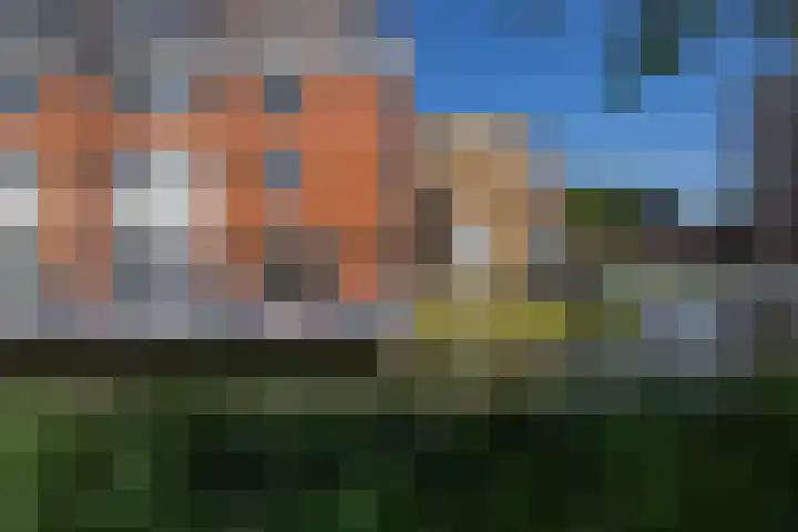 Vuurvlinderhof 20 Schiedam thumbnail 4