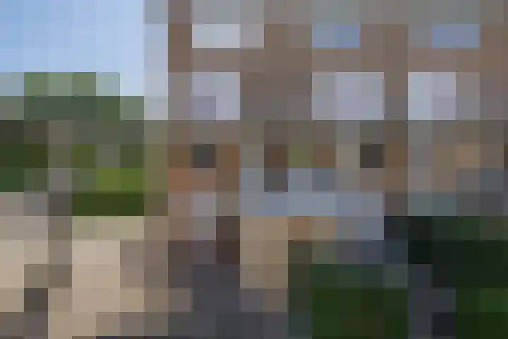 Vuurvlinderhof 20 Schiedam thumbnail 5