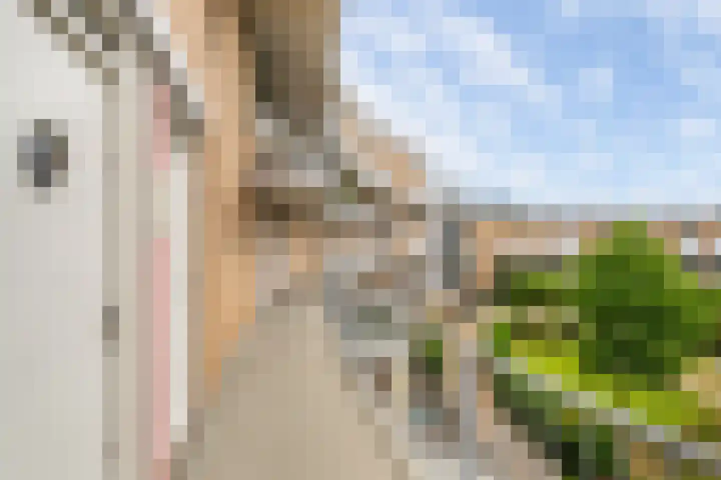 Vuurvlinderhof 42 Schiedam thumbnail 25