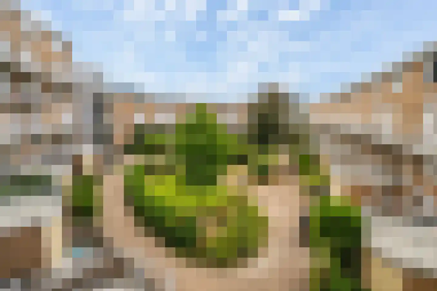 Vuurvlinderhof 42 Schiedam thumbnail 27