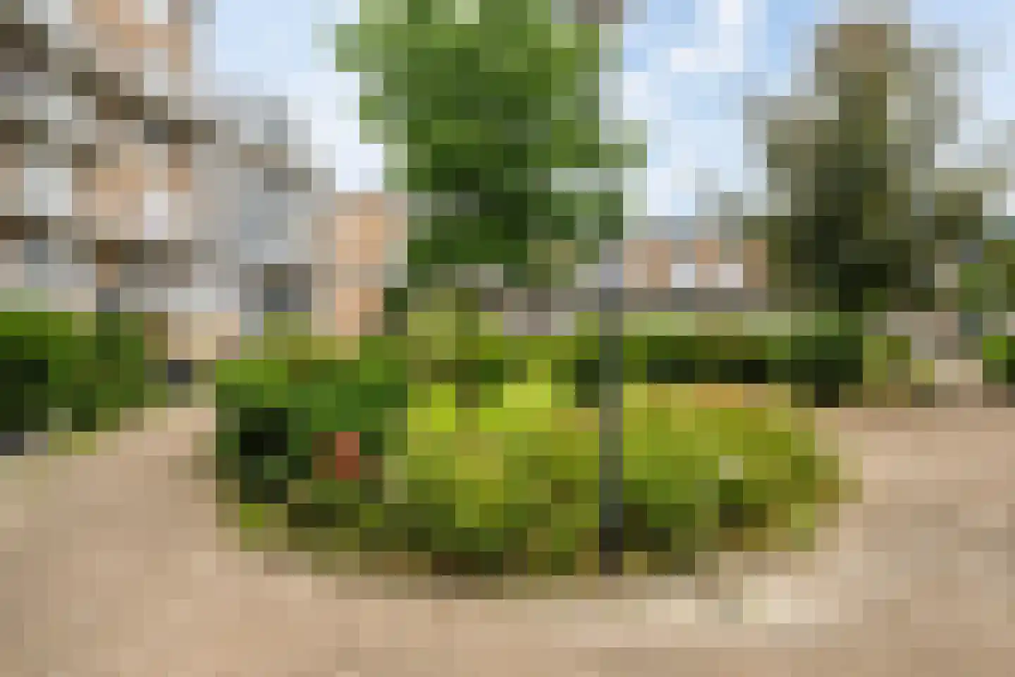 Vuurvlinderhof 42 Schiedam thumbnail 28