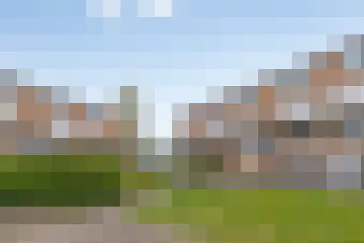 Vuurvlinderhof 57 Schiedam thumbnail 7
