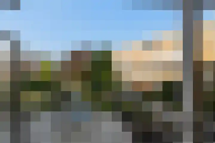 Vuurvlinderhof 6 Schiedam thumbnail 24