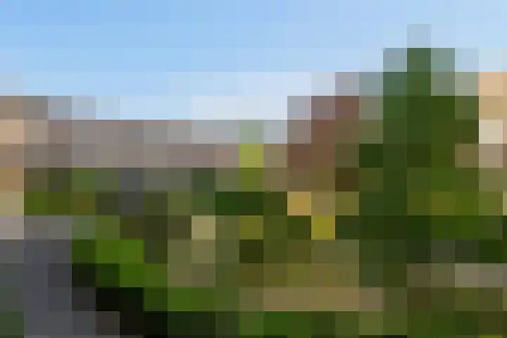 Vuurvlinderhof 6 Schiedam thumbnail 25