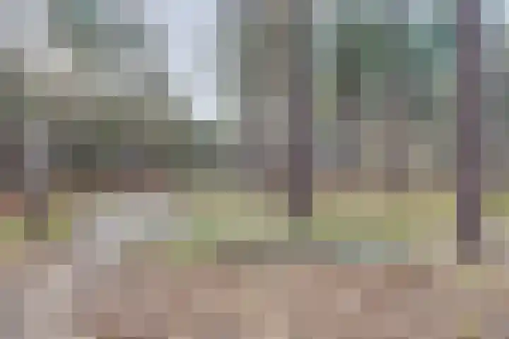 Vuurvlinderhof 8 Oosterhout thumbnail 31