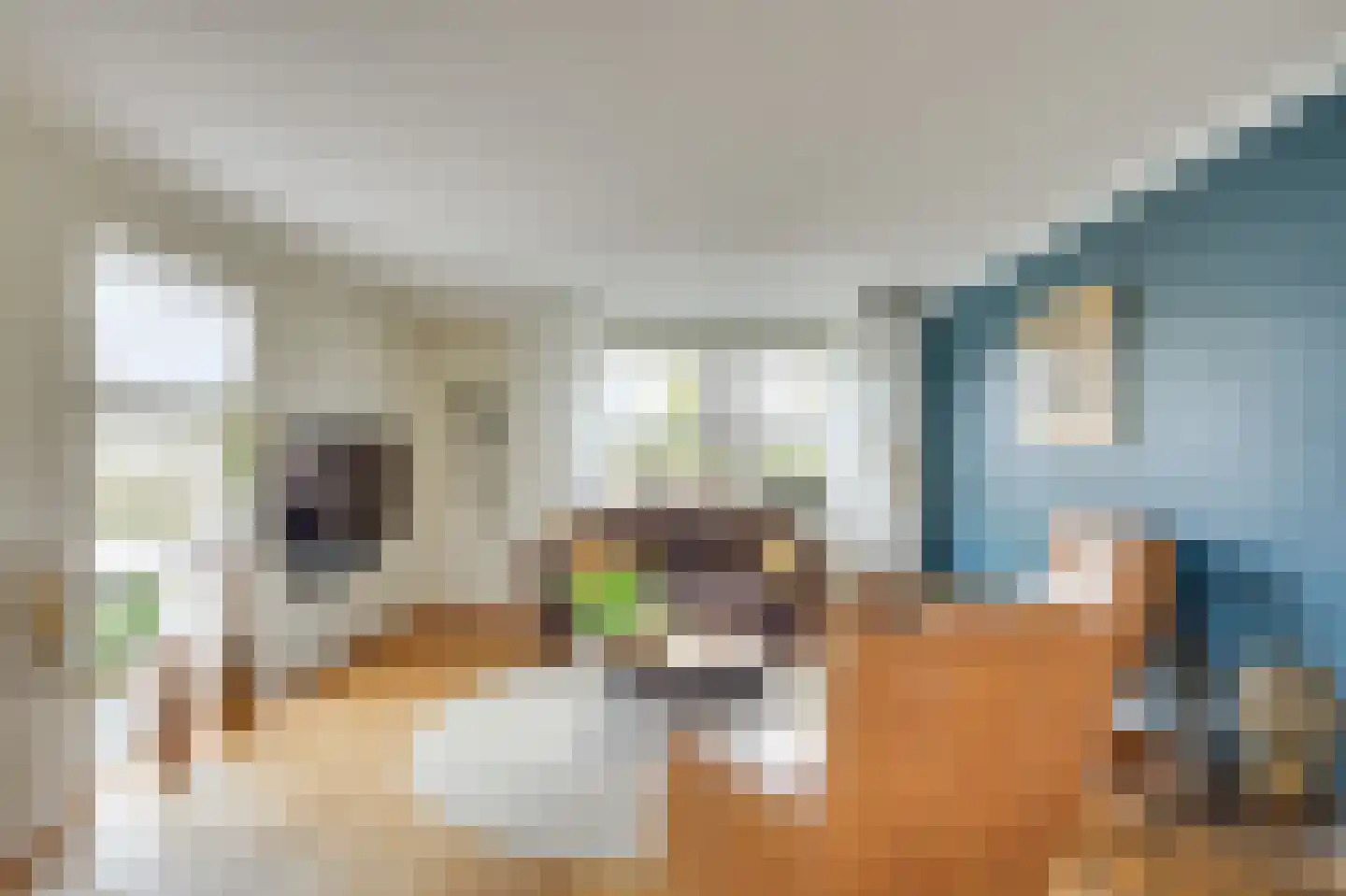 Vuurvlinderlaan 2 Son en Breugel thumbnail 10