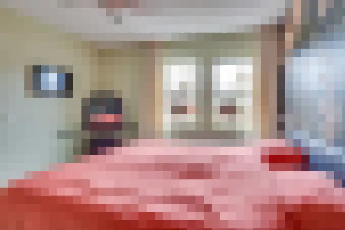 Vuurvlinderlaan 2 Son en Breugel thumbnail 24