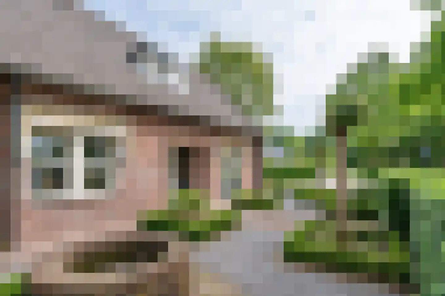 Vuurvlinderlaan 2 Son en Breugel thumbnail 44