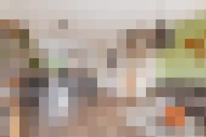 Vuurvlinderlaan 86 Den Haag thumbnail 15