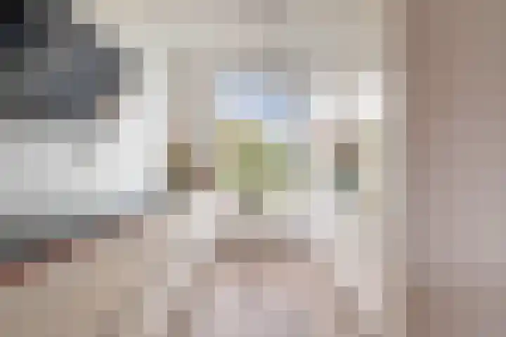 Vuurvlinderlaan 86 Den Haag thumbnail 17
