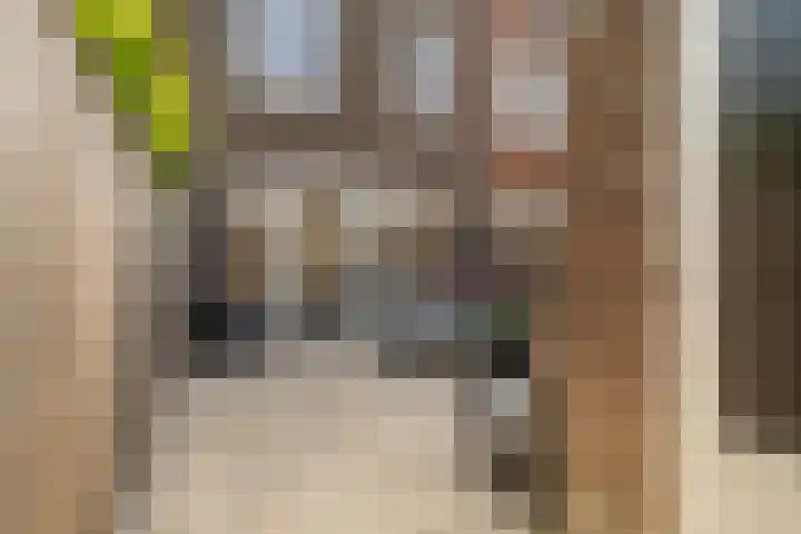 Vuurvlinderlaan 86 Den Haag thumbnail 40