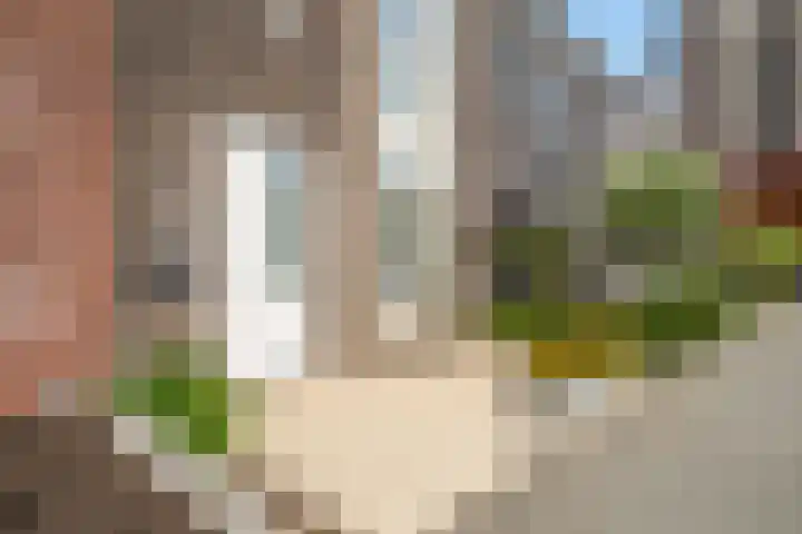 Vuurvlinderlaan 86 Den Haag thumbnail 43