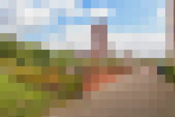 Vuurvlinderlaan 86 Den Haag thumbnail 44