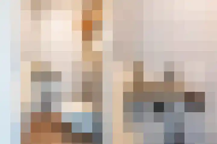 Vuurvlinderlaan 86 Den Haag thumbnail 8