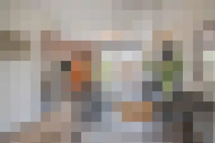 Vuurvlinderlaan 88 Den Haag thumbnail 13