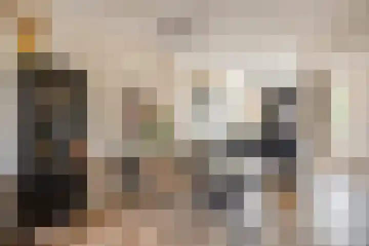 Vuurvlinderlaan 88 Den Haag thumbnail 18
